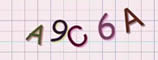 Captcha Example