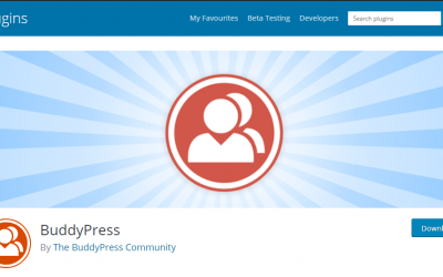 Buddypress WordPress plugin to remove profile links